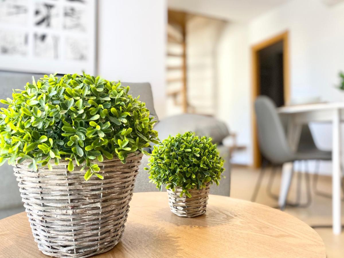 Sofia Apartment